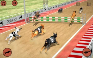 Cách Chơi Game Nhanh Đua Chó Tại ManClub Dễ Hiểu Dành Cho Người Mới