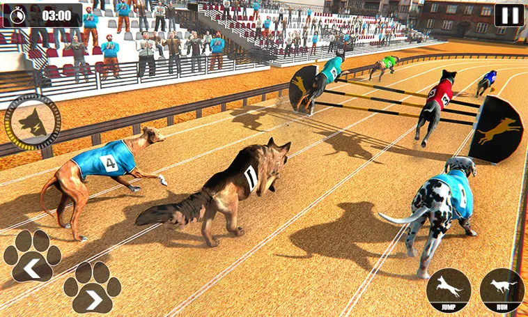 Cách Chơi Game Nhanh Đua Chó Tại ManClub Dễ Hiểu Dành Cho Người Mới